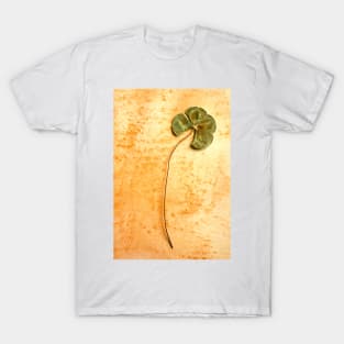 Four Leaf Clover T-Shirt